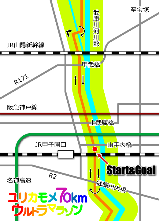 ユリカモメ70km