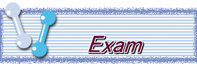  　　Exam