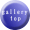 gallery   top 