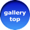 gallery    top 