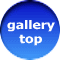 gallery    top 