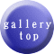 gallery    top 