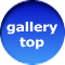 gallery     top 