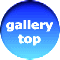 gallery     top