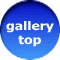 gallery    top 