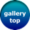 gallery     top