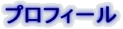 �v���t�B�[�� 