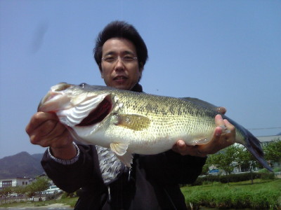 p050429d.JPG (30196 oCg)