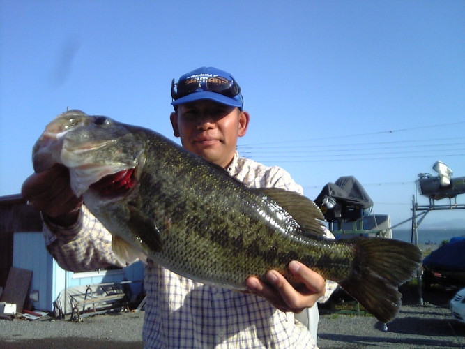 p050503e.JPG (87877 oCg)