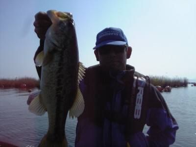 p050504b.JPG (23277 oCg)