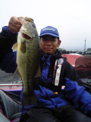 p050611c.JPG (31384 oCg)