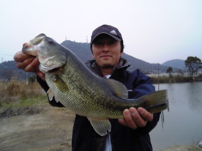 p060401f.JPG (29580 バイト)