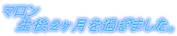 }
@Q߂܂B