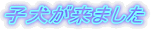 q܂
