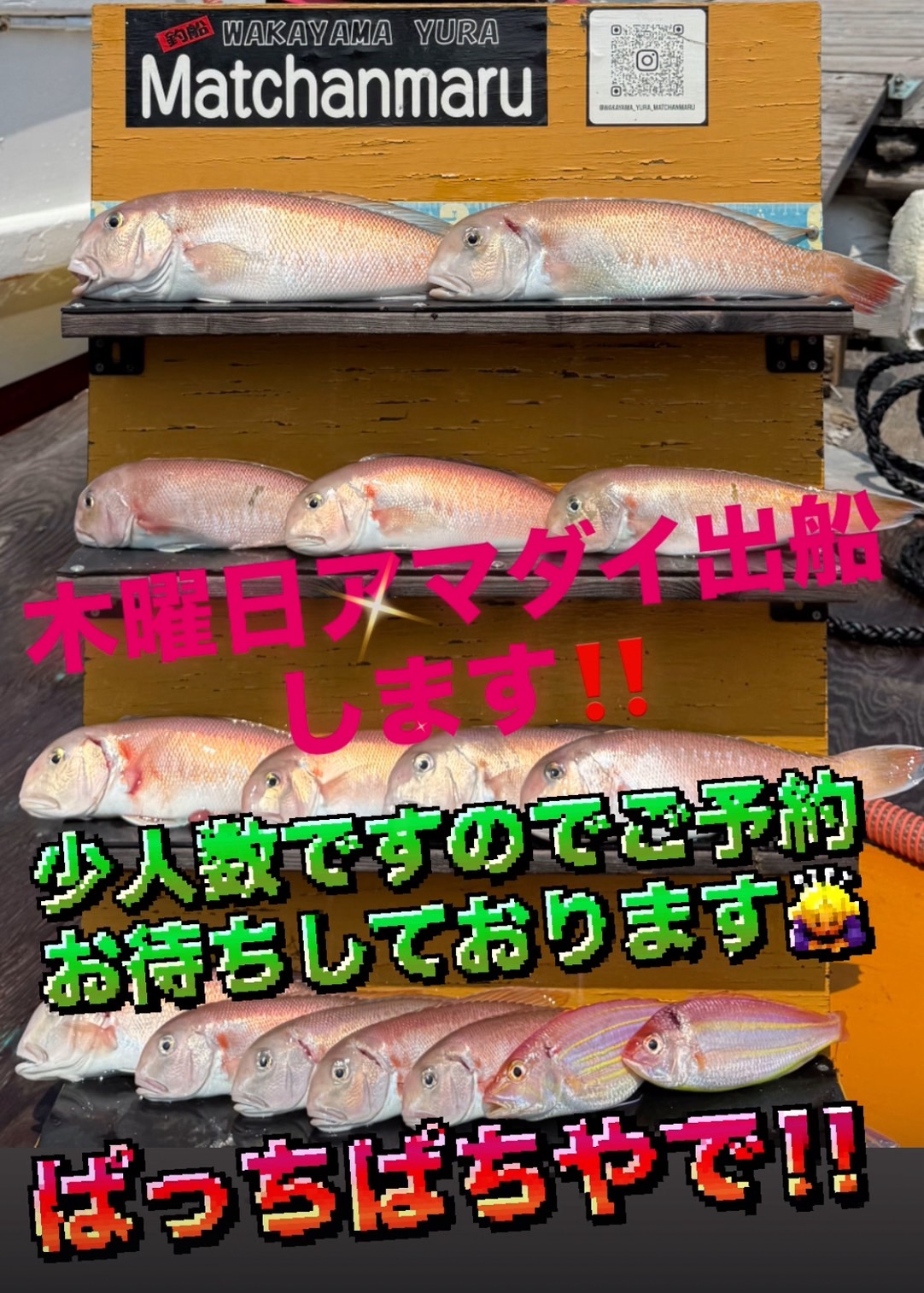 釣果1