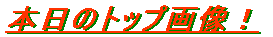 {̃gbv摜I