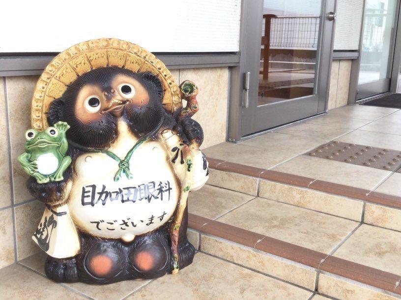 目加田眼科の縁起たぬき