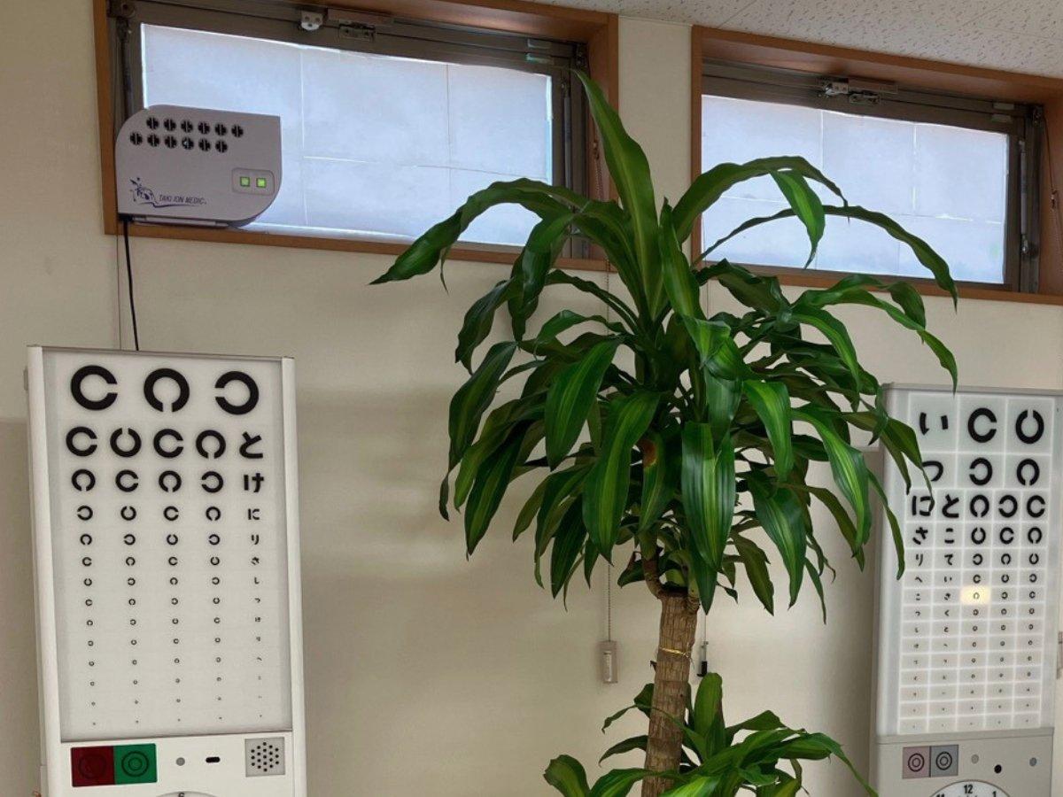 観葉植物を配した検査室の様子