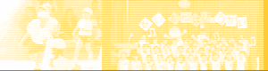 wakayama-dn.net