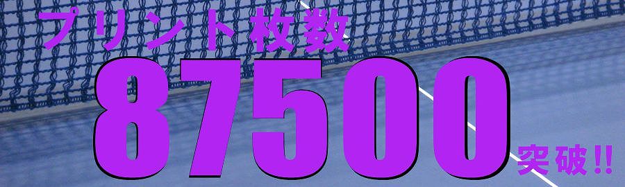 卓球ゼッケン名前プリント卓球協会無地ゼッケン名入れ