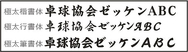 日本卓球協会 卓球ゼッケン 名前 印刷 プリント