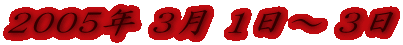 2005N 3 1` 3
