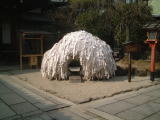 安井金比羅宮