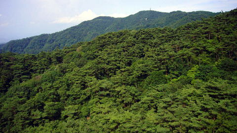 いにしえのわが町 六甲山 現在