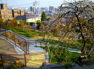 いにしえのわが町 岡本梅林公園 現在
