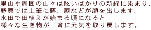 里山や周囲の山々は眩いばかりの新緑に染まり、 野原では土筆に蕗、蕨などが顔を出します。 水田で田植えが始まる頃になると 様々な生き物が一斉に元気を取り戻します。