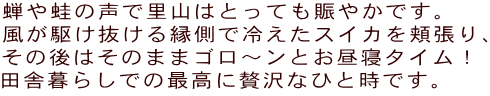 蝉や蛙の声で里山はとっても賑やかです。 風が駆け抜ける縁側で冷えたスイカを頬張り、 その後はそのままゴロ～ンとお昼寝タイム！ 田舎暮らしでの最高に贅沢なひと時です。