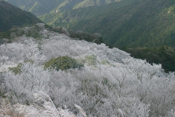 �摜���傫���Ȃ�܂�