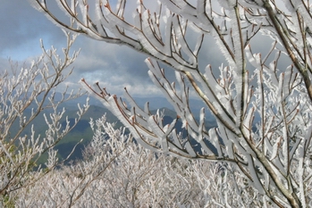 �傫�ȉ摜�ł��B