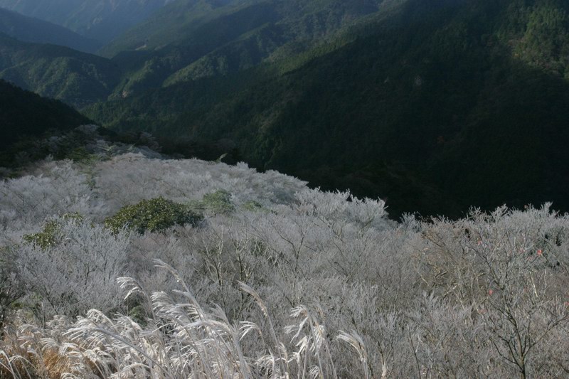 �@�t�R�R�����