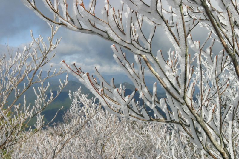 �@�t�R�R���ł̎��X