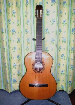 Classic Guitar