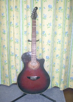 Yamaha APX Guitar