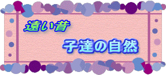^CgFqB̎R