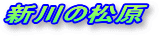 V̏