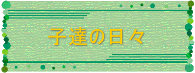 qB̓X