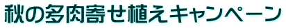 秋の多肉寄せ植えキャンペーン 