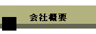 ЊTv