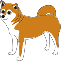 ̃CXg