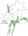 ̃CXg