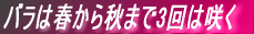 o͏tH܂3͍炭
