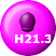 H21.3