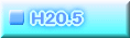 H20.5 