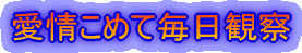 ߂Ėώ@