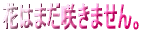 Ԃ͂܂炫܂B