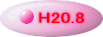 H20.8 